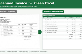 convert scanned PDF or image to editable excel