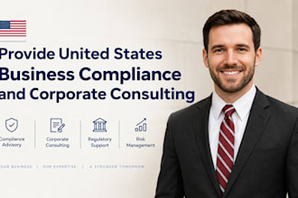l provide USA business compliance and corporate consulting