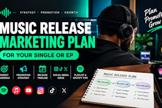 create a professional music marketing strategy for independent artists