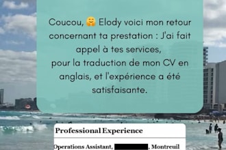 translate, proofread your cvs and cover letter