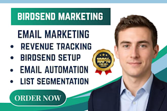 setup birdsend revenue tracking email welcome flow automation audience tags