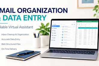organize your inbox and do accurate data entry as your VA