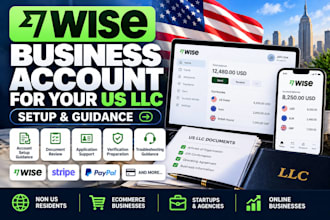 help you set up wise business for your US llc