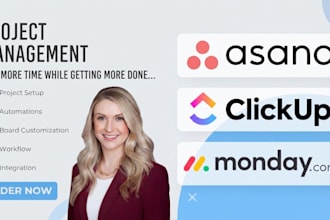 setup and automate your asana workspace system, project management for your team