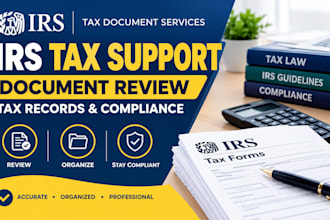 provide irs tax document review tax preparation support