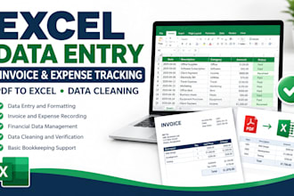 do excel data entry, invoice tracking and data cleaning