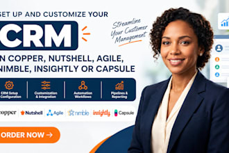 set up copper, nutshell, agile, nimble, insightly or capsule CRM