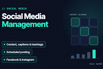 manage your facebook and instagram with posts, captions and scheduling