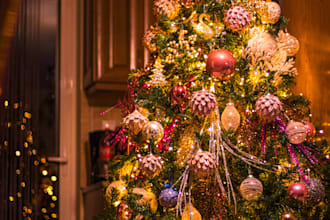 create christmas flyers, and greeting cards