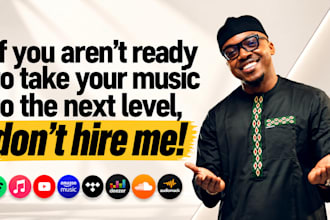 build a major label music release strategy and campaign plan