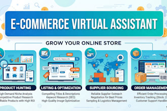be your ecommerce va for store management and listing