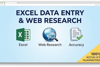 do accurate excel dat entry, copy paste, and web reserch