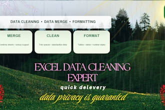 cleane, format, merge excel data