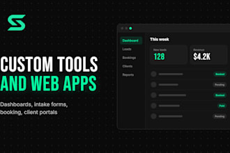 build a custom software tool or web application