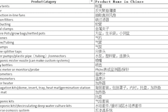 do translation between english and simplified chinese