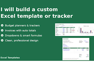 build a custom excel template, tracker or budget sheet