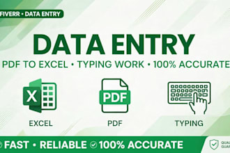 do data entry, excel work, pdf to excel, typing work