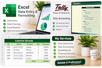 do excel and tally accounting