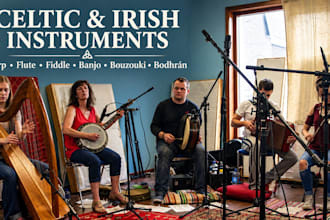 record celtic harp, american flute, irish flute, irish banjo, irish fiddle