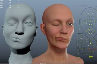 fix, rig 3d character, weight paint, facial rigging, skinning in any software