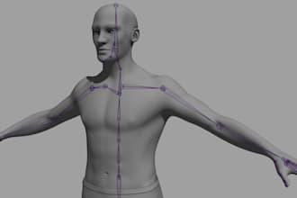 create 3d character model, 3d rigging, facial rigging, weight paint, bone rig