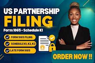prepare your late or overdue form 1065 and k1s for a multi member llc
