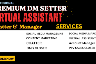 be your professional premium dm closer and account manager