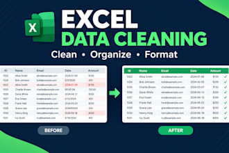 clean, format, and organize excel spreadsheets
