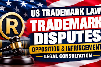 provide US trademark opposition and infringement legal advice