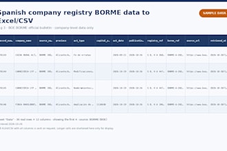extract spanish company registry borme data to excel