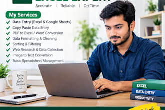 do data entry, PDF or jpeg to word or excel, copy paste,typing etc