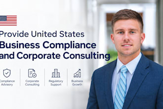 provide USA business compliance and corporate consulting