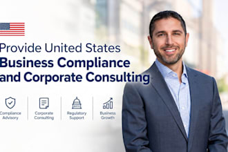 provide USA business compliance and corporate consulting