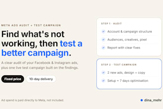 audit your meta ads account and launch a facebook ads test campaign