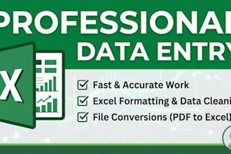 data entry on excel spreadsheet