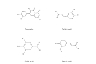 interpret lc ms and gc ms spectra and draw fragmentation pathways