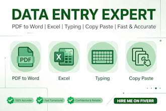 do data entry, copy paste, pdf to word and excel typing work
