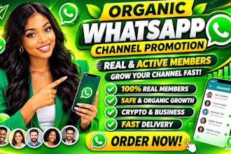set up a high converting whatsapp marketing and promotion campaigh