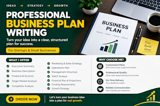 write a professional immigration and visa business plan