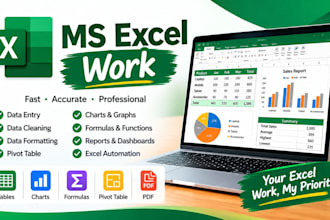 do professional microsoft excel