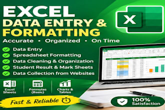 do excel data entry, spreadsheet formatting and student result sheets