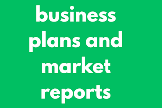write a professional immigration and visa business plan