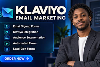 klaviyo flows klaviyo setup klaviyo segmentation klaviyo audit email copywriting