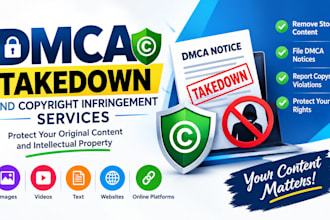 provide dmca takedown and copyright infringement services