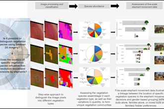 provide professional gis mapping and spatial data analysis