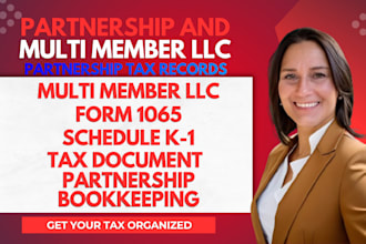 organize llc partnership and multi member llc tax records schedule k1 form 1065