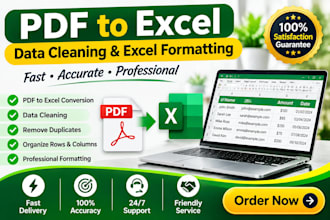 convert PDF to excel,clear data, and format spreadsheets