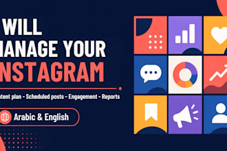 manage your instagram and plan your content