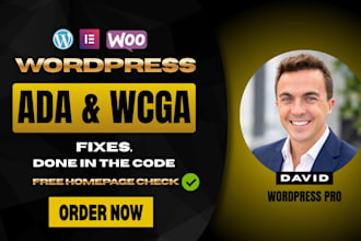 fix wordpress ada and wcag accessibility compliance issues, section 508