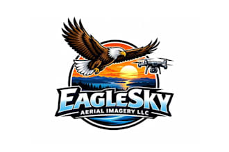 design superb modern eagle and drone logo with express delivery